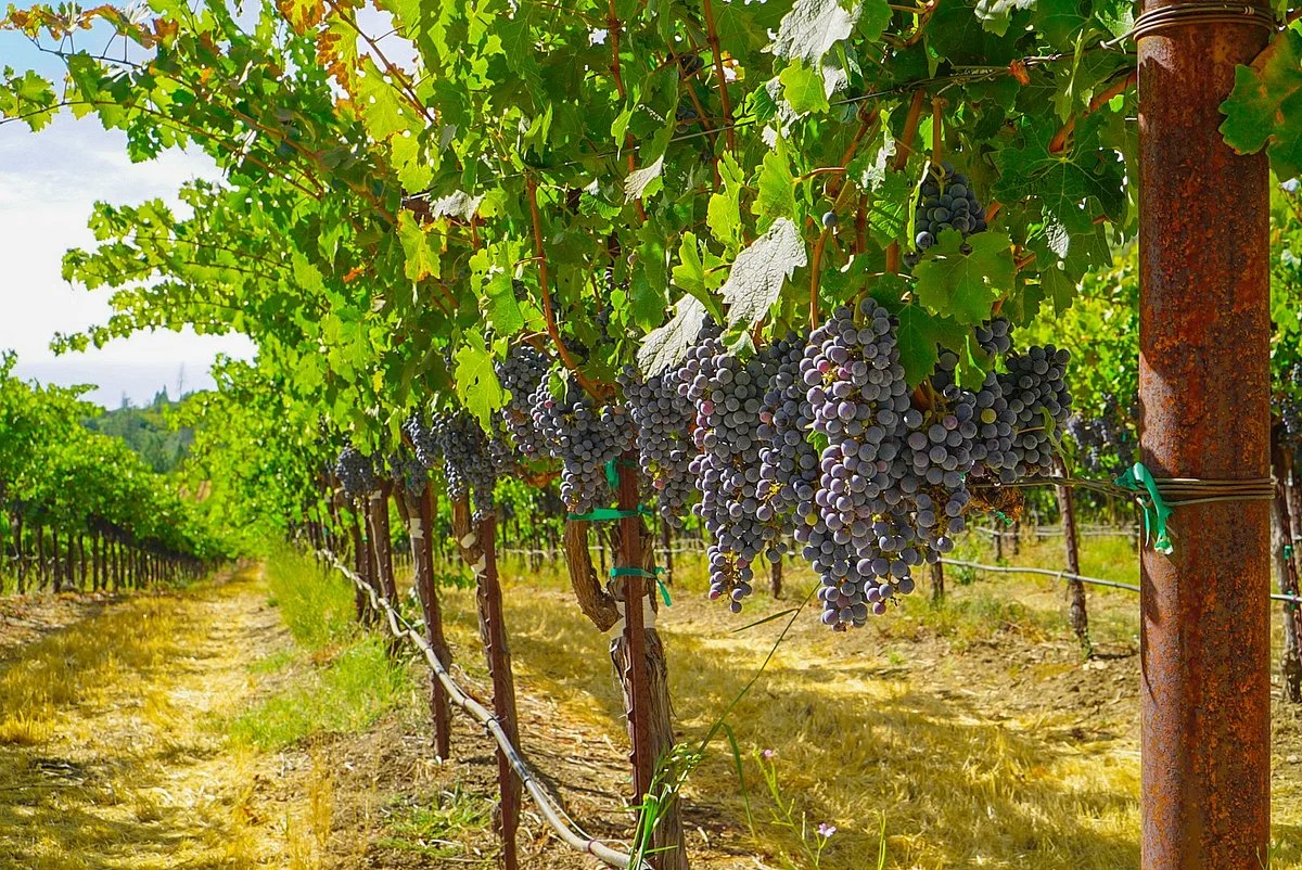 Ironstone Vineyards