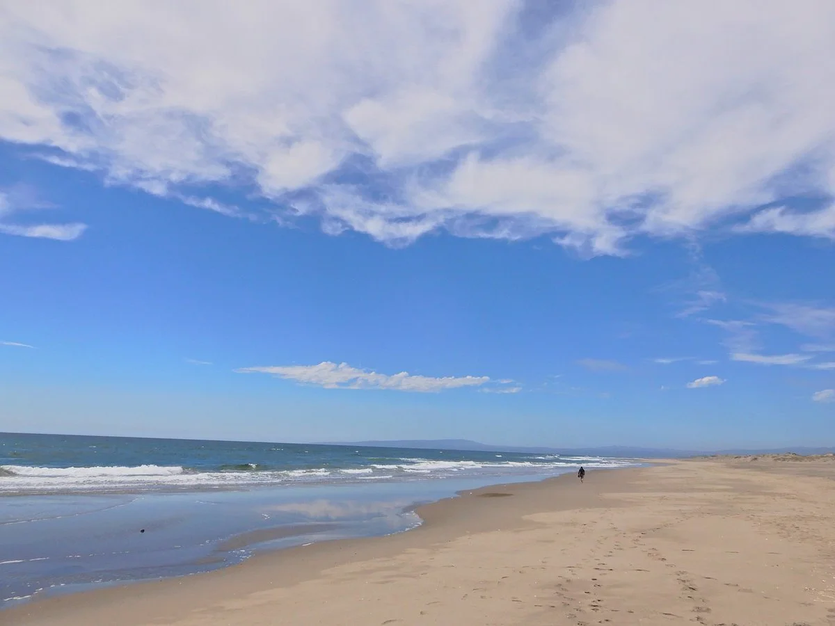 Moss Landing State Beach
