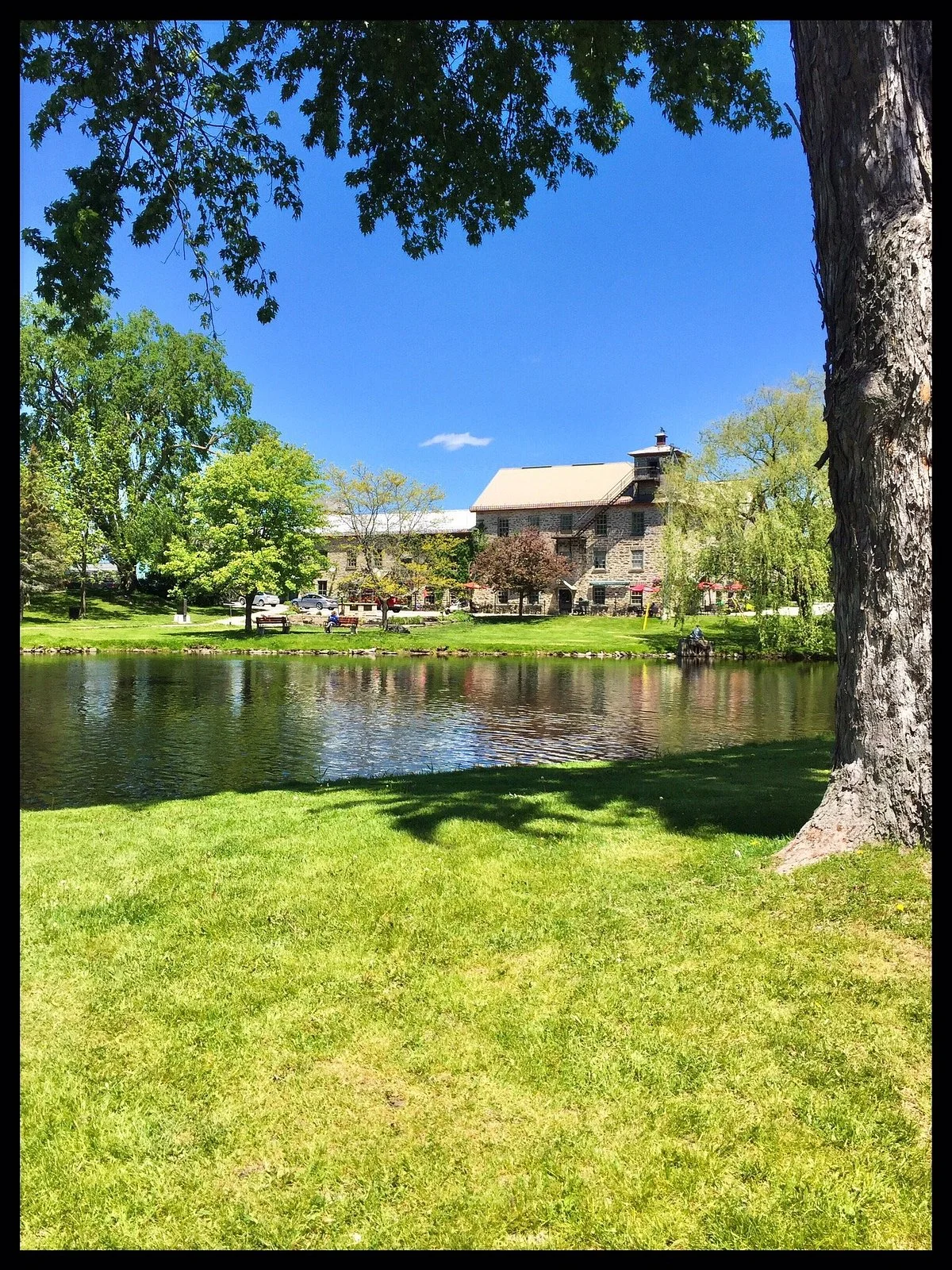 Stewart Park