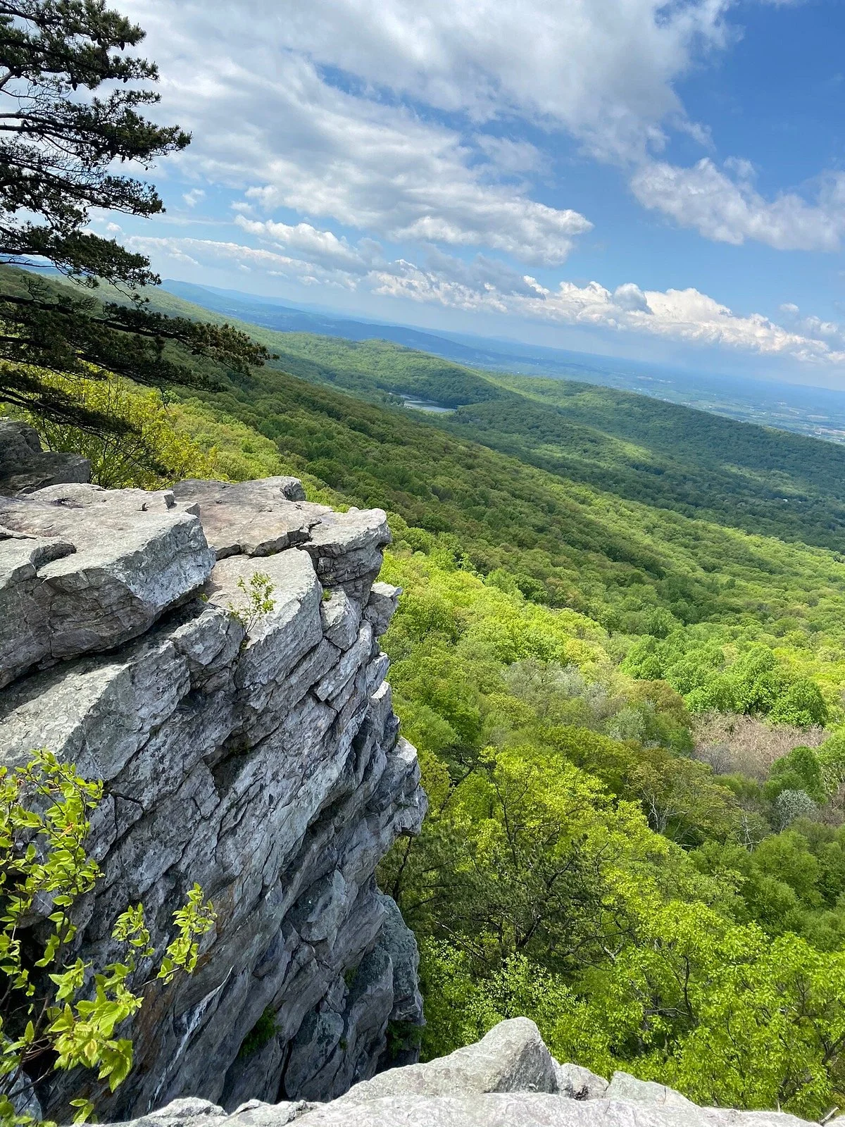 Annapolis Rock