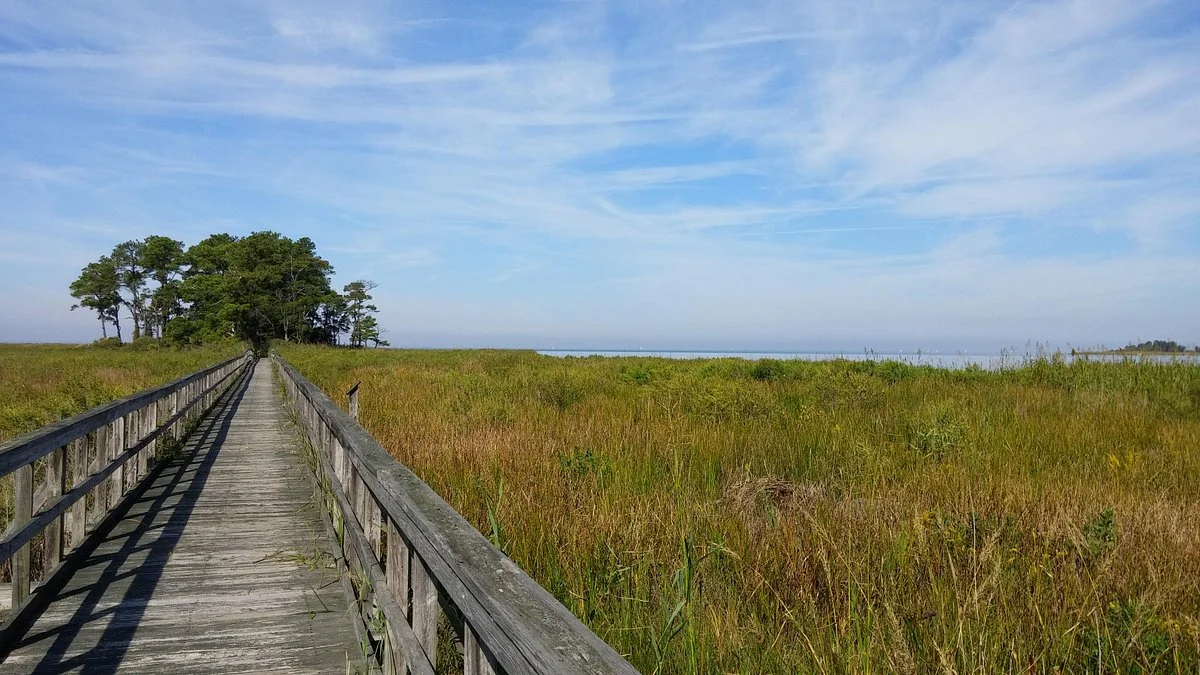 Eastern Neck National Wildlife Refuge