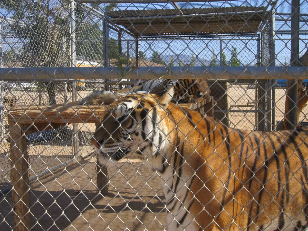Hesperia Zoo