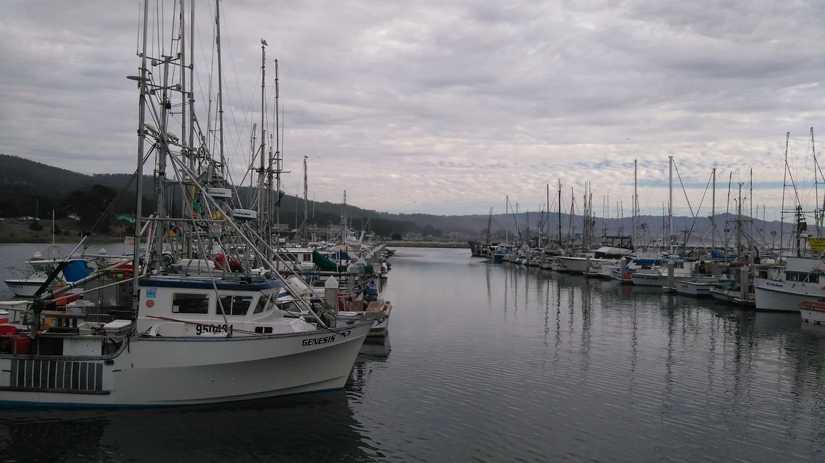 Pillar Point Harbor