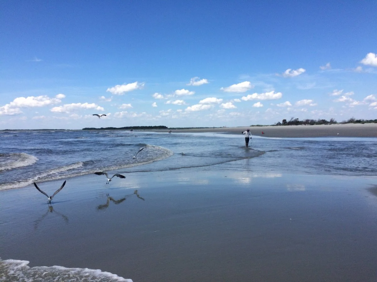 Folly Beach County Park