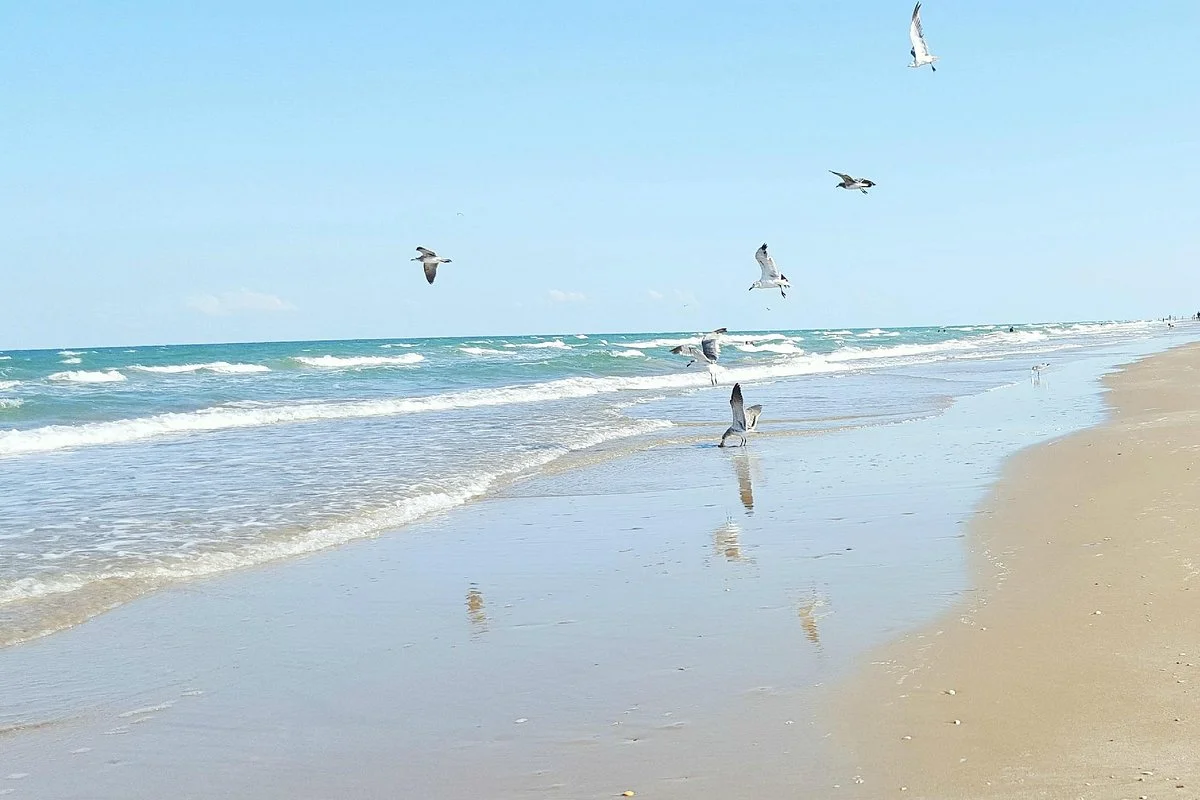 Boca Chica State Park