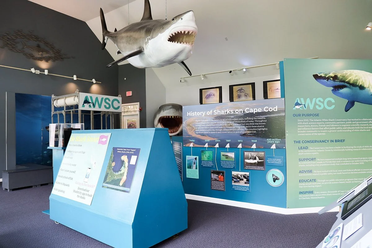 Shark Center