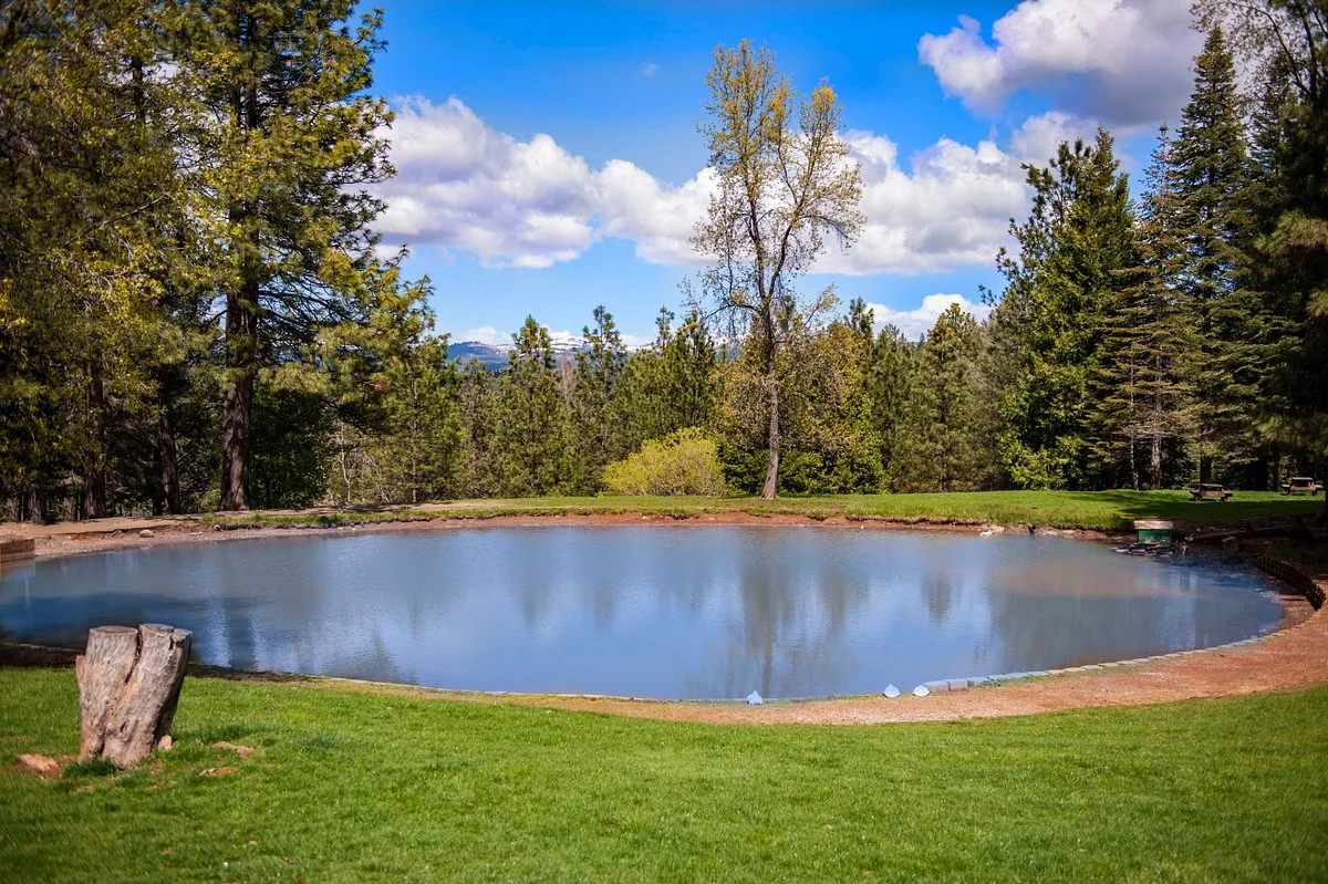 Apple Hill | High Hill Ranch