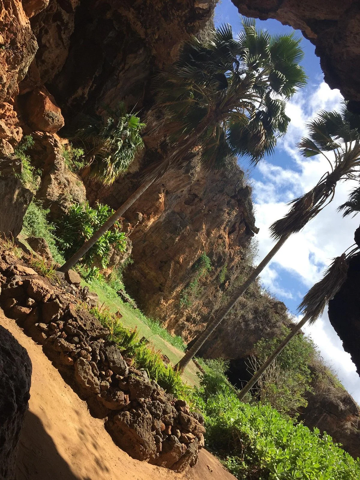 Makauwahi Cave Reserve