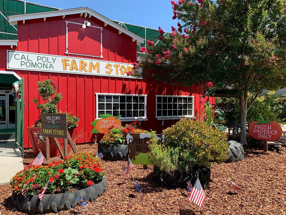 Farm Store at Kellogg Ranch