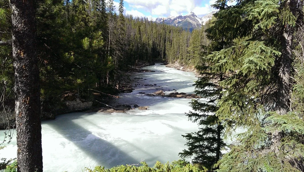 Kicking Horse River