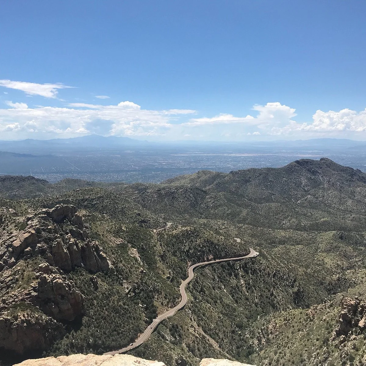 Coronado National Forest