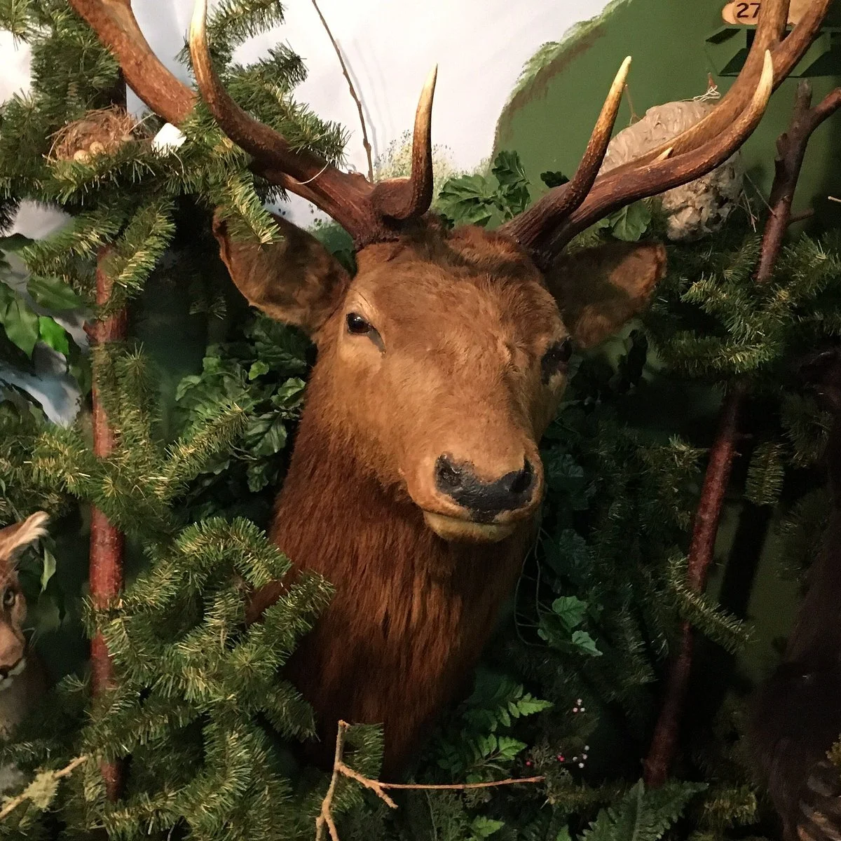Coastal Interpretive Center