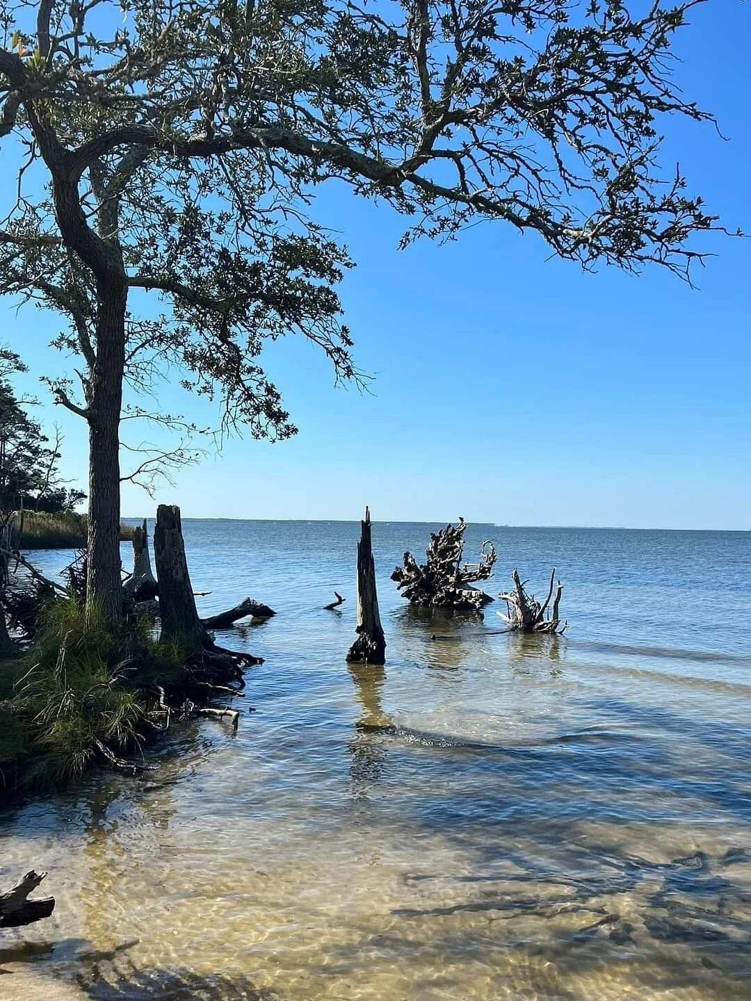 Nags Head Woods Preserve