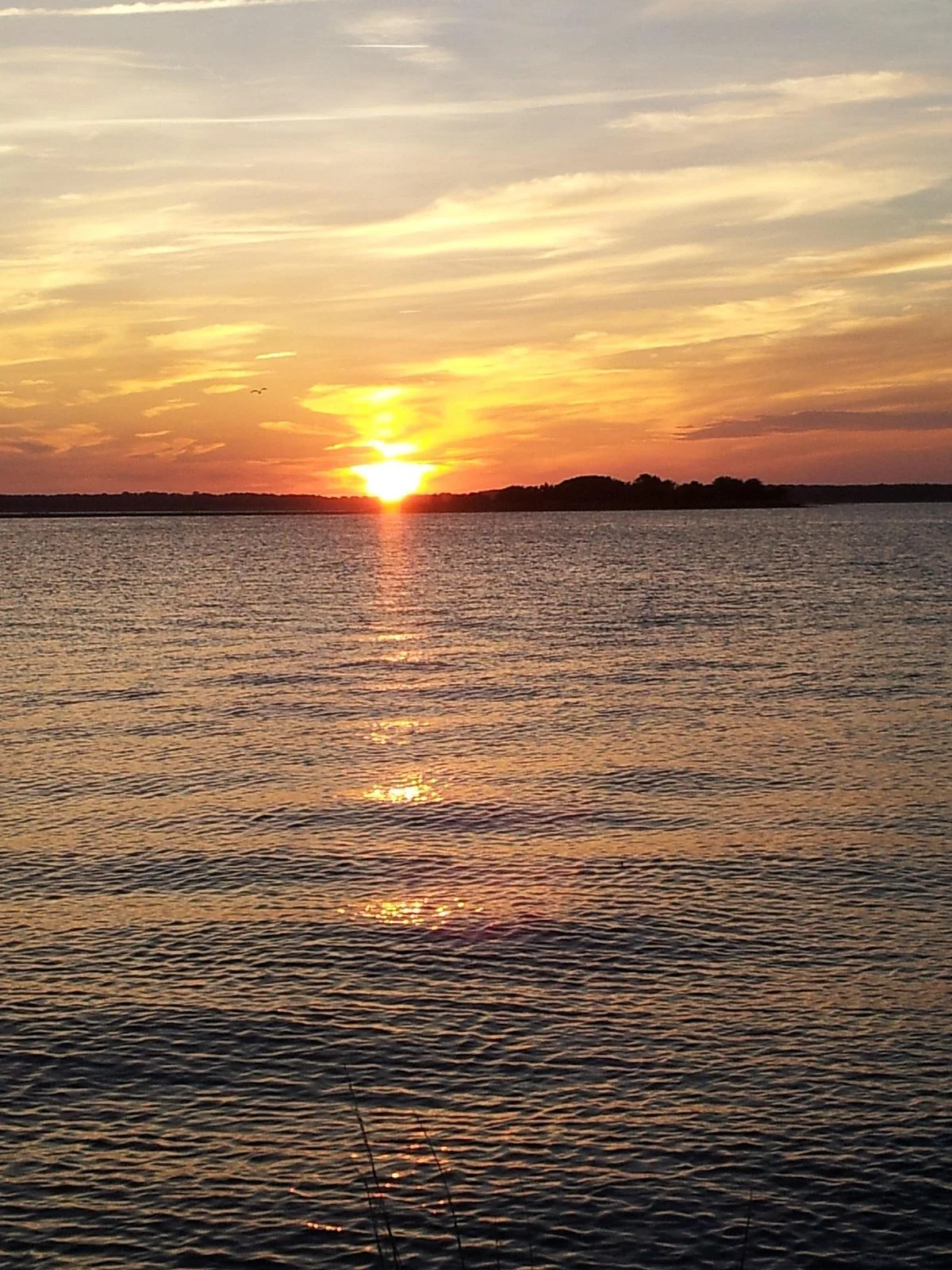 Nature Center of Cape May