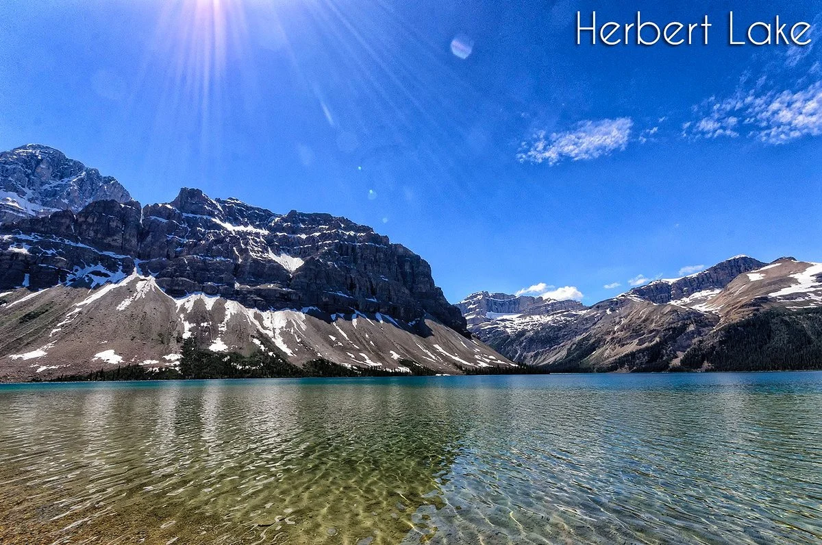 Herbert Lake