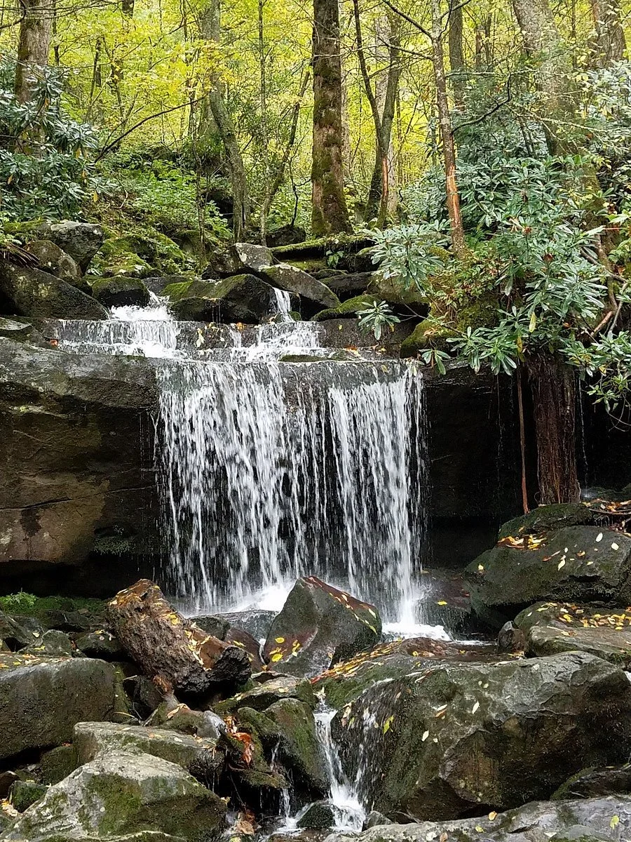 Rainbow Falls Trail