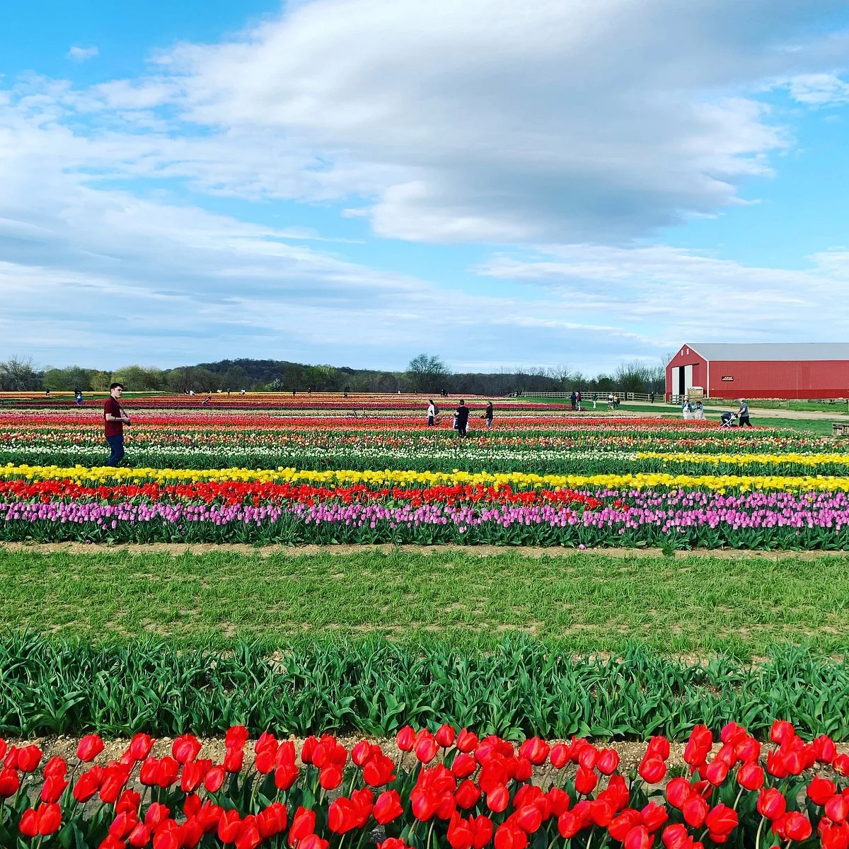 Holland Ridge Farms