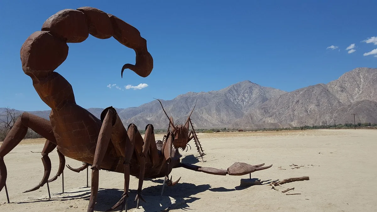 Galleta Meadows