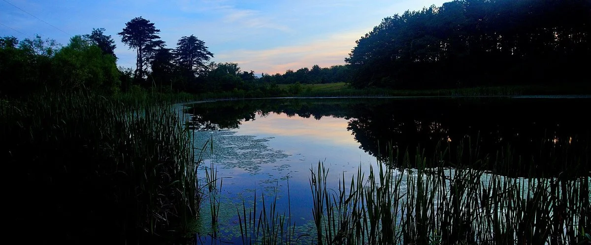 Green Ridge State Forest