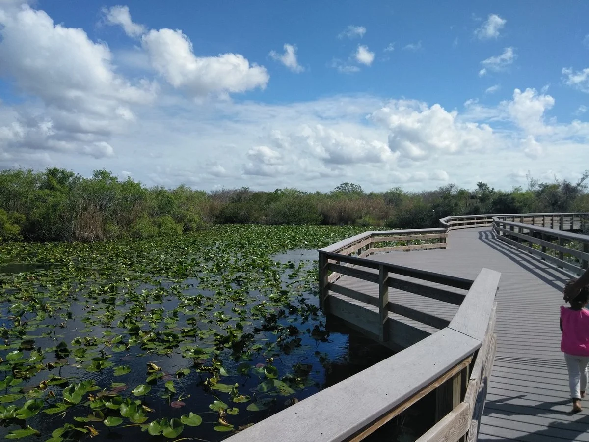 Royal Palm Visitor Center