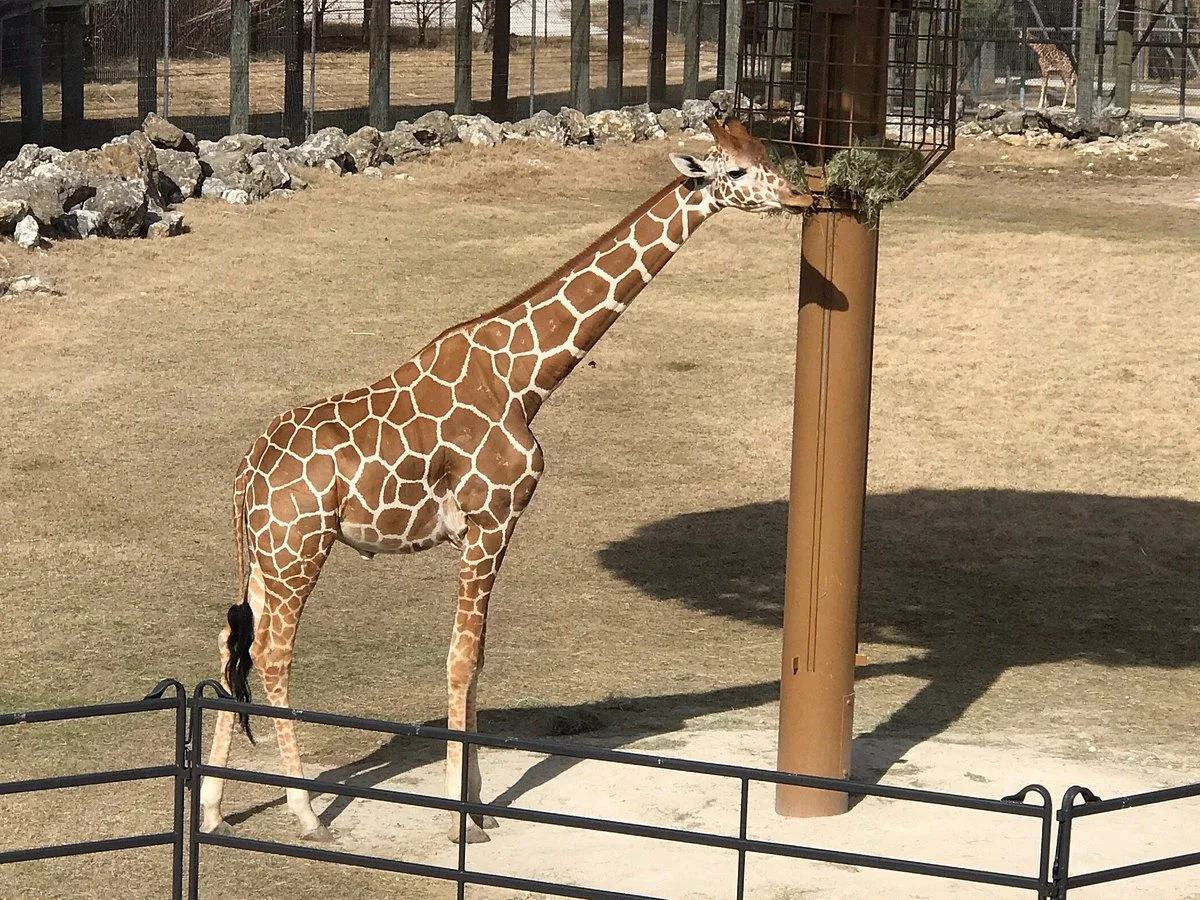 Frank Buck Zoo