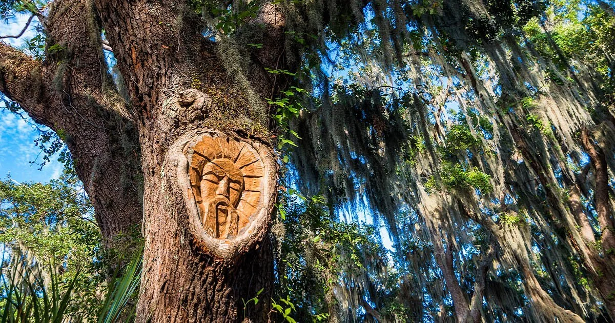 Tree Spirits of St. Simons Island