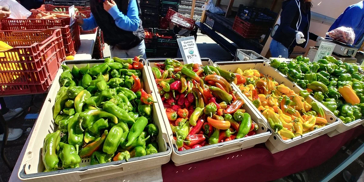 Mountain View Farmers Market