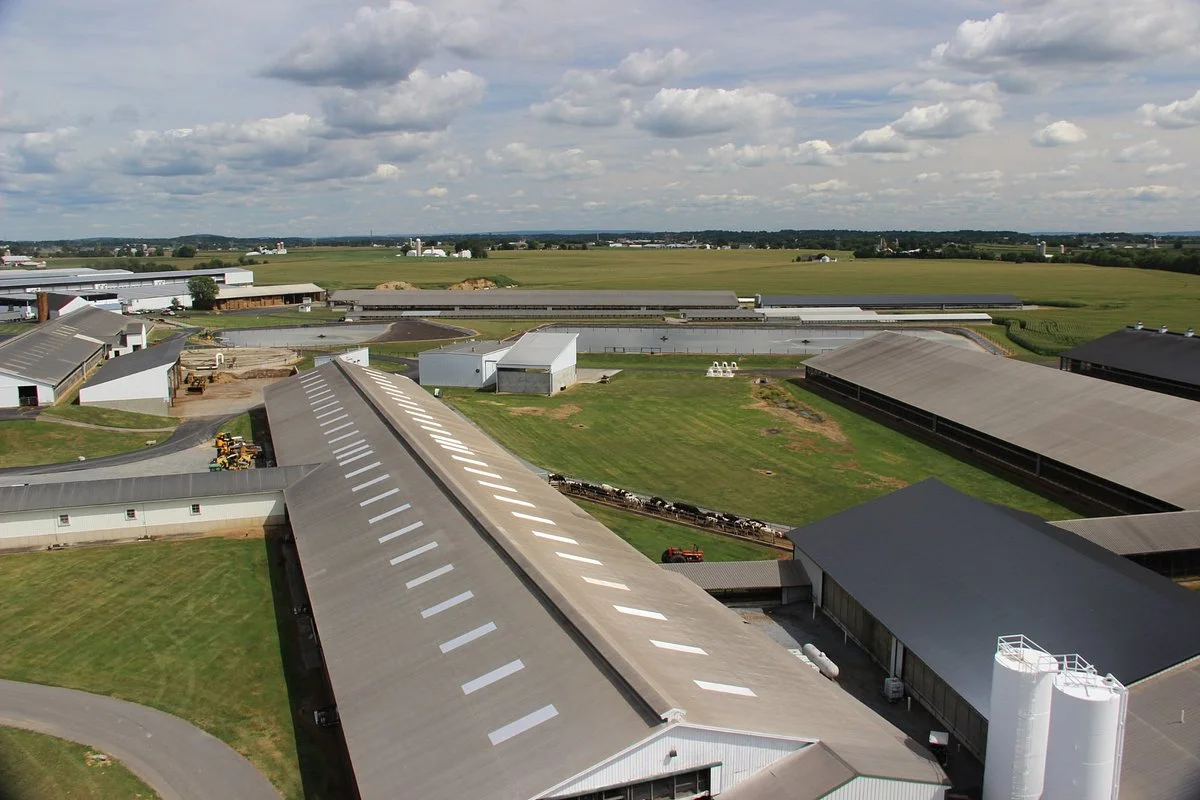 Kreider Farms
