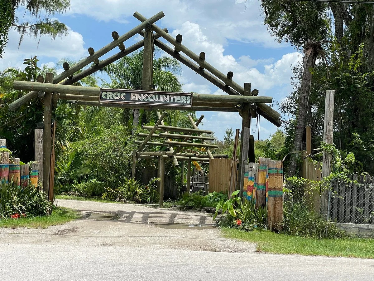 Croc Encounters