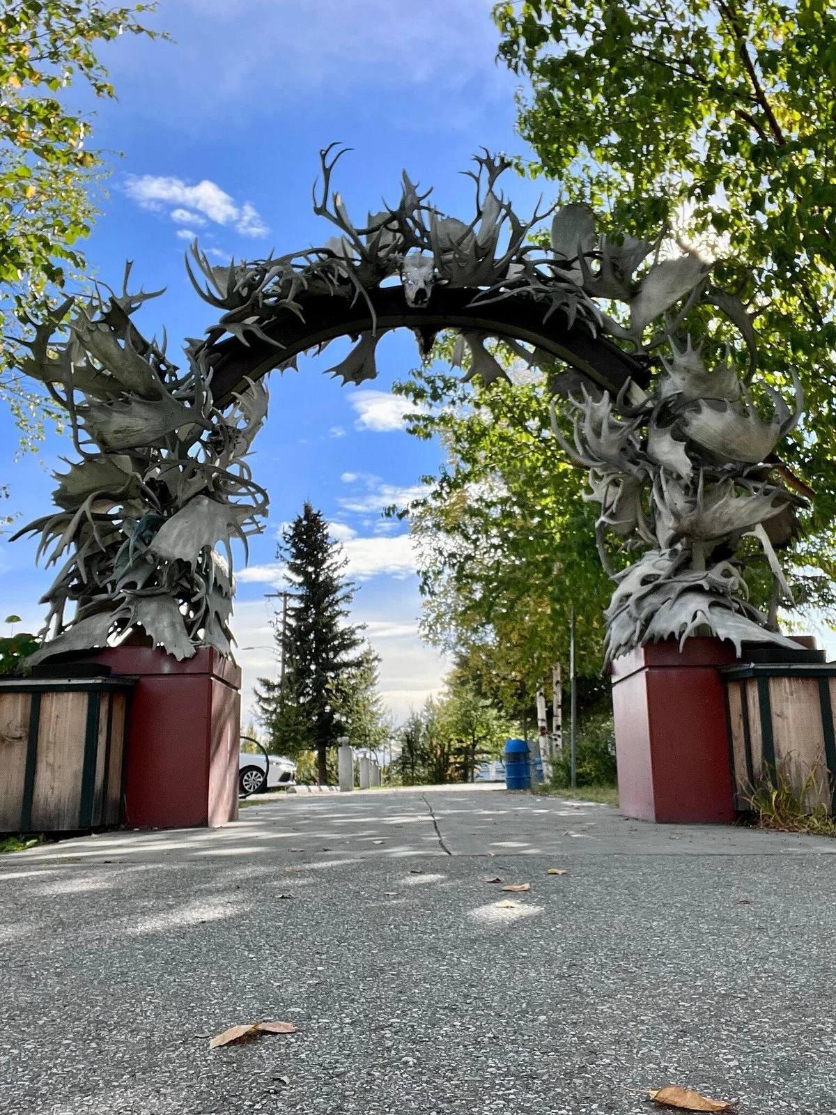 Antler Arch