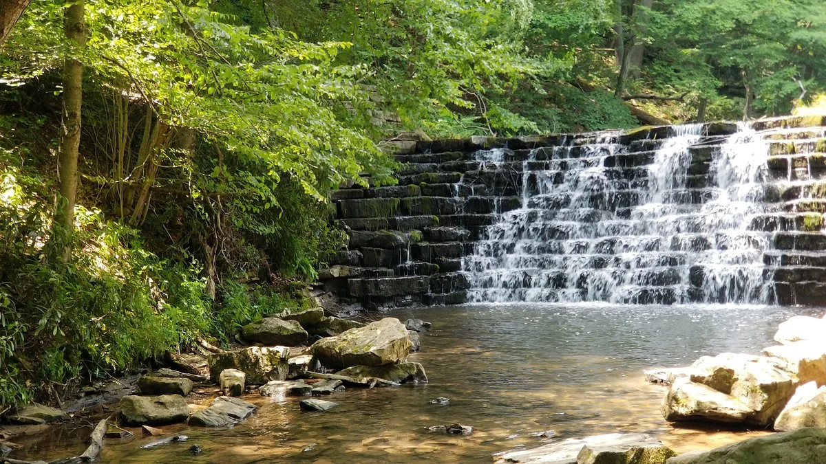 Laurel Hill State Park