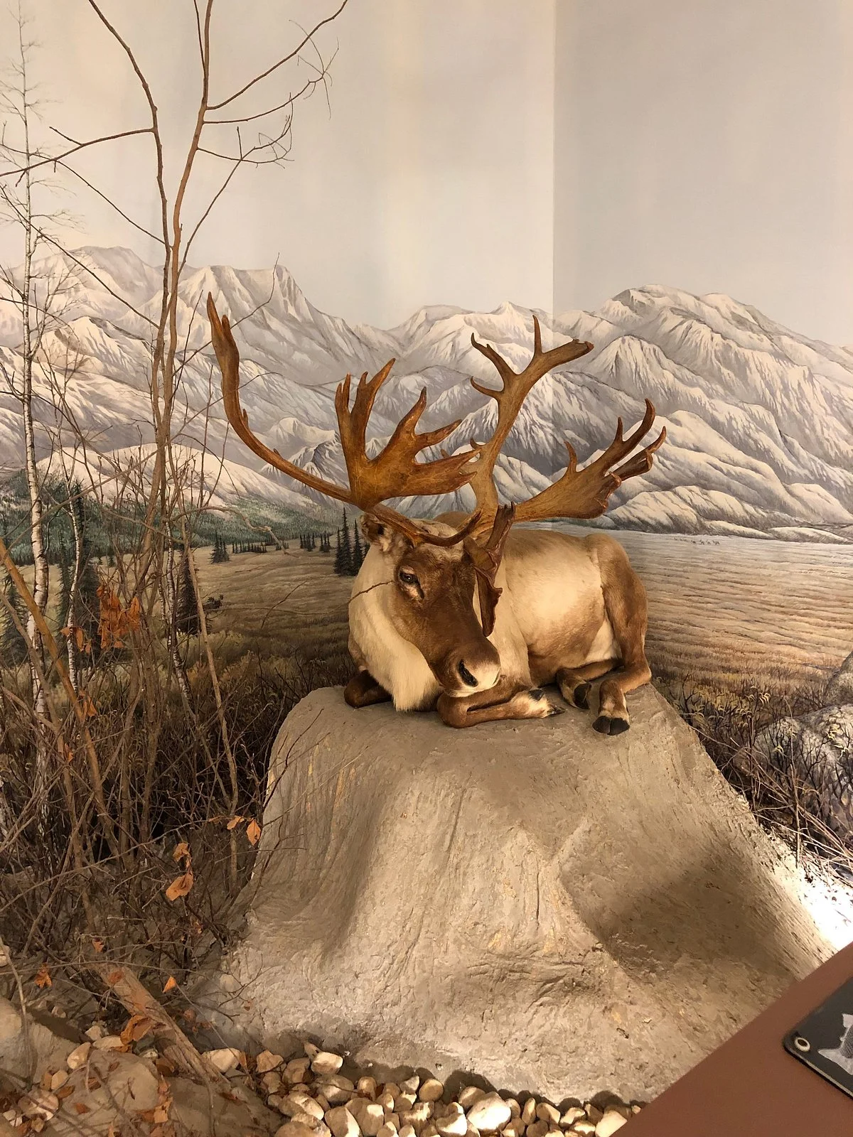 Nixon Park Nature Center