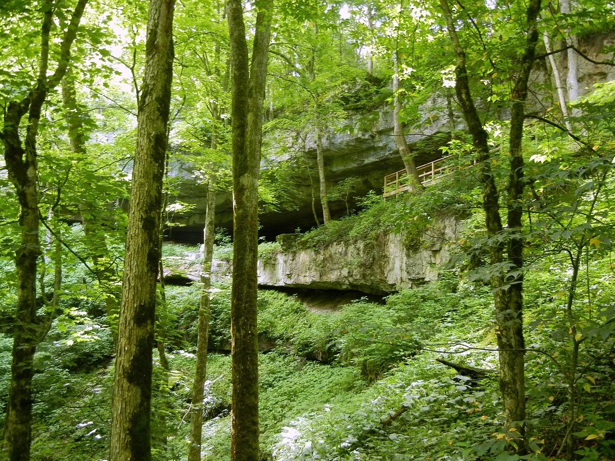 Cedar Sink Trail