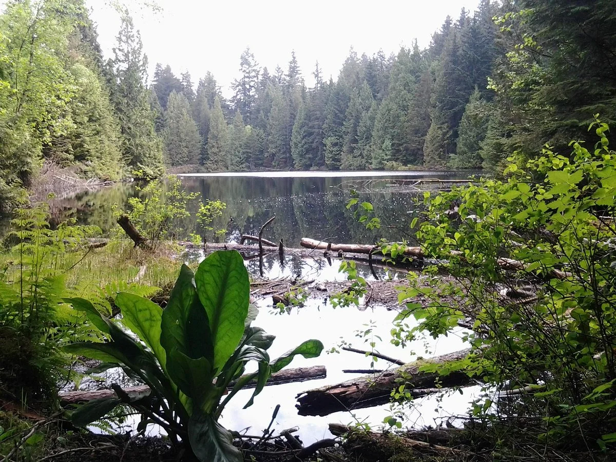 Mundy Park