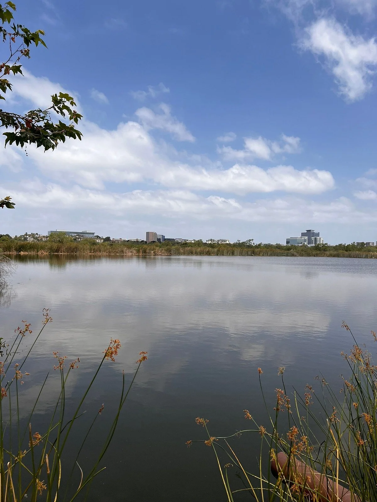 San Joaquin Marsh Wildlife Sanctuary