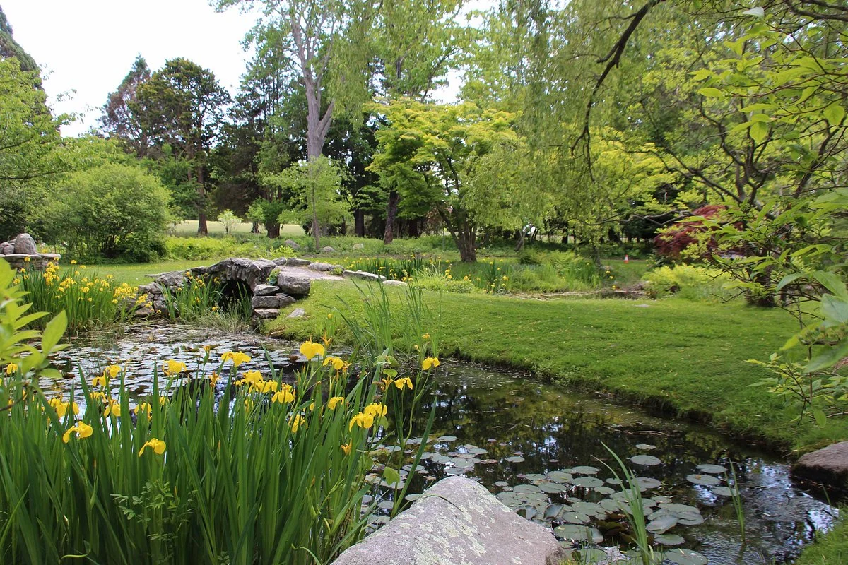 Blithewold Mansion, Gardens & Arboretum