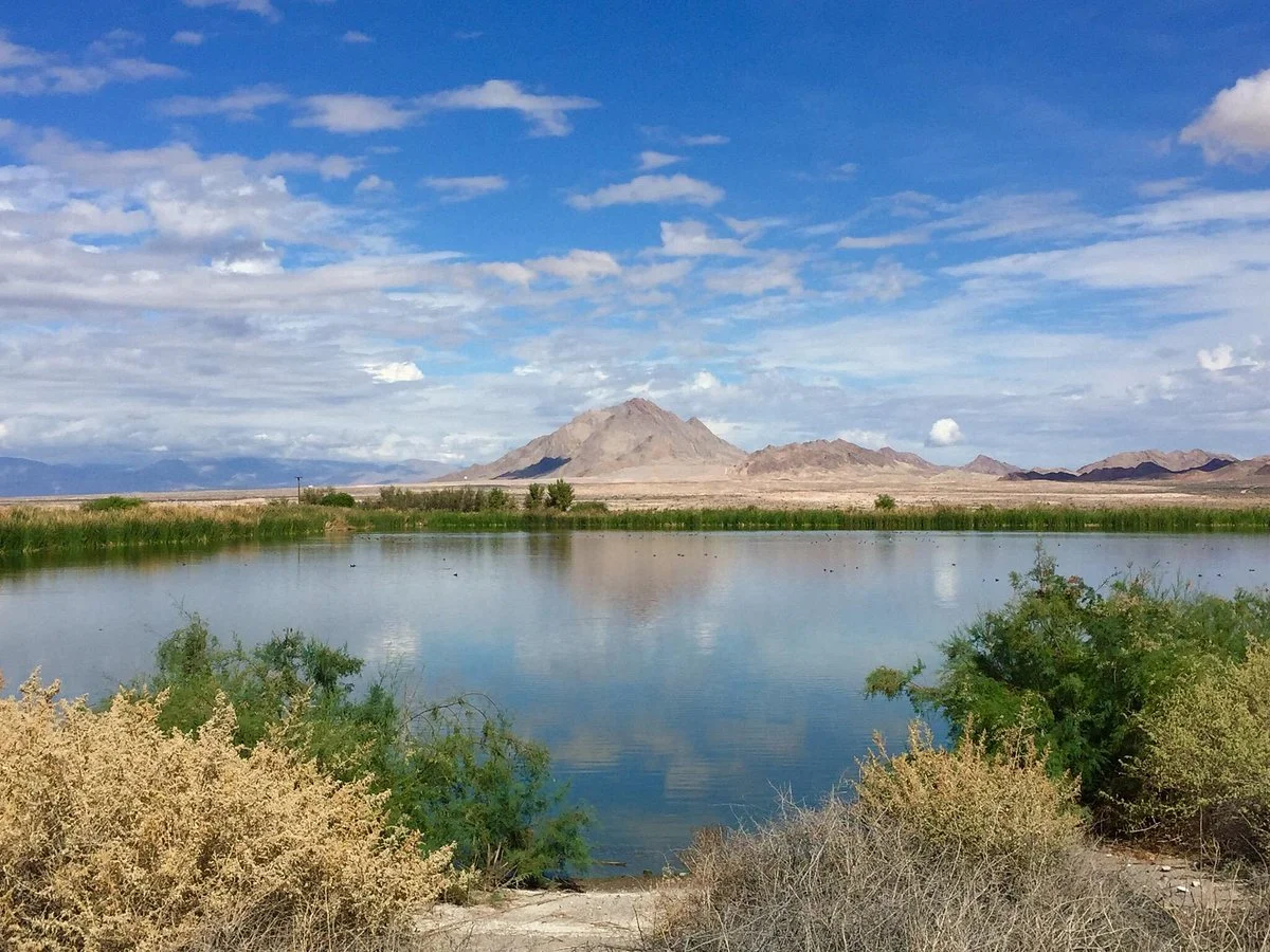 Henderson Bird Viewing Preserve