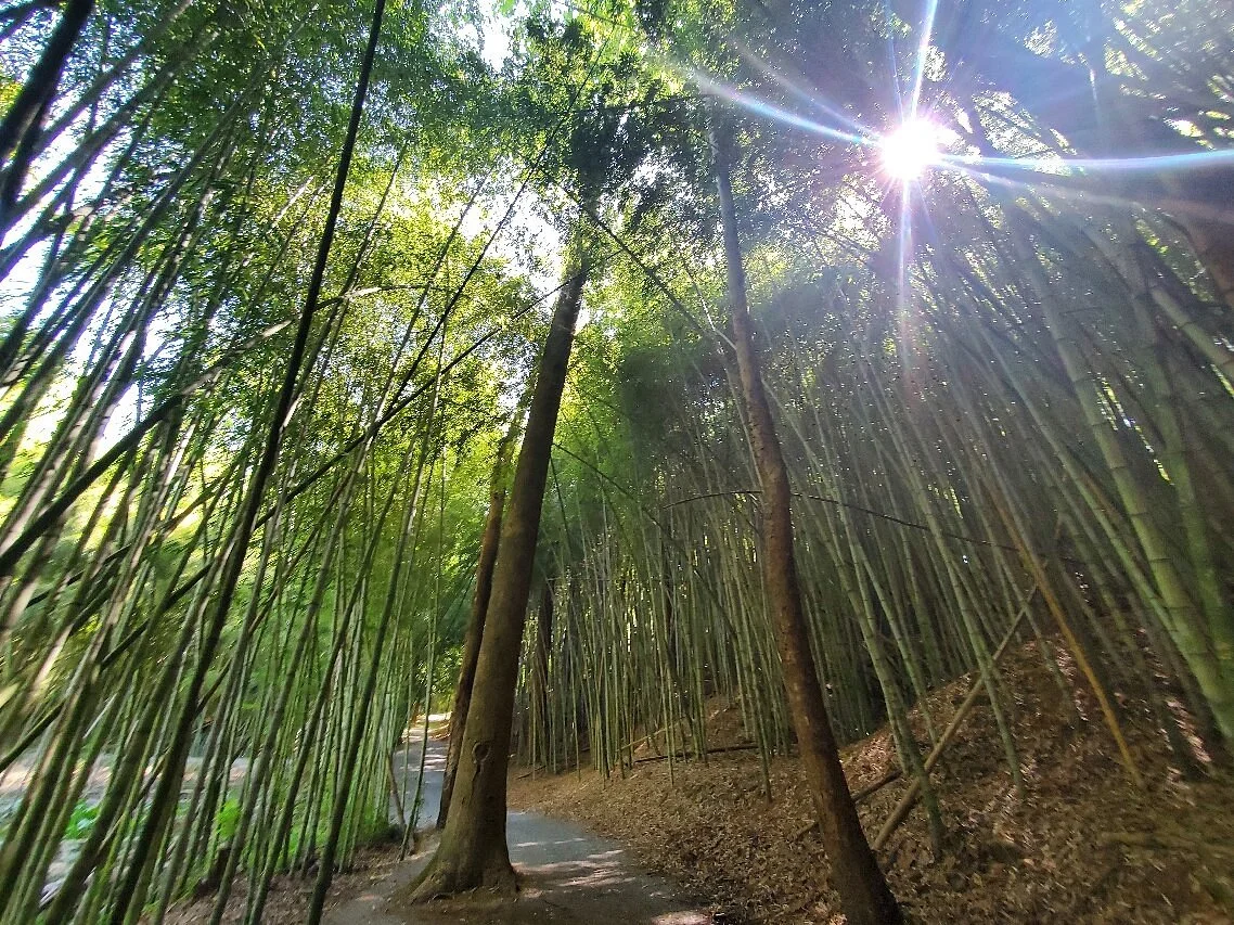 Wilderness Park