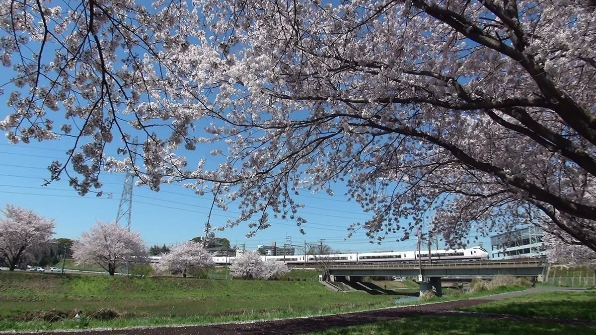 Kitakashiwa Furusato Park