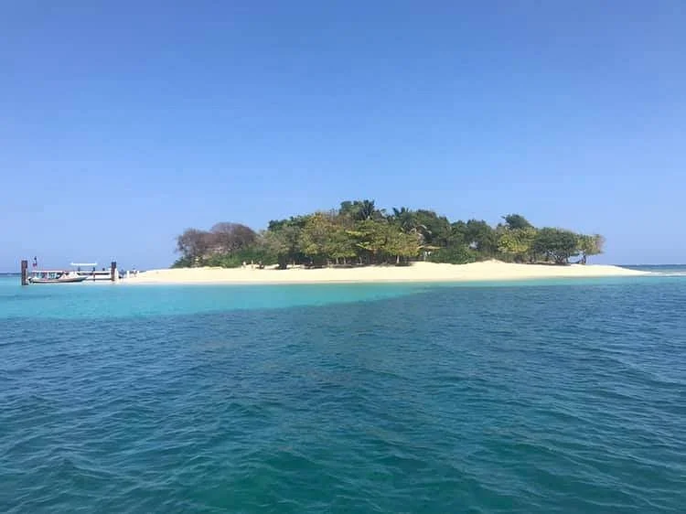 Amiga Island