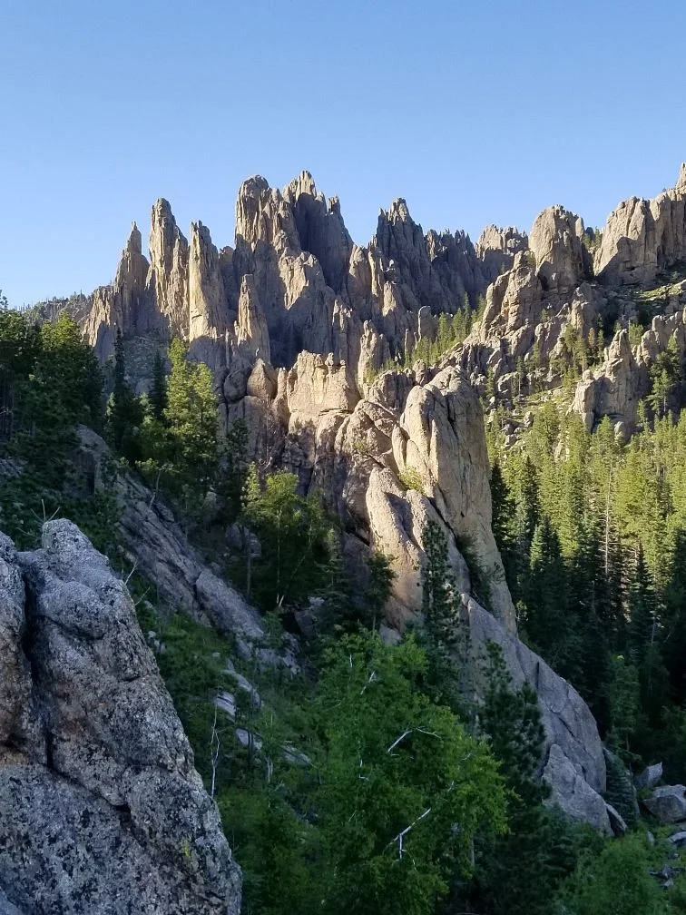 Black Hills National Forest