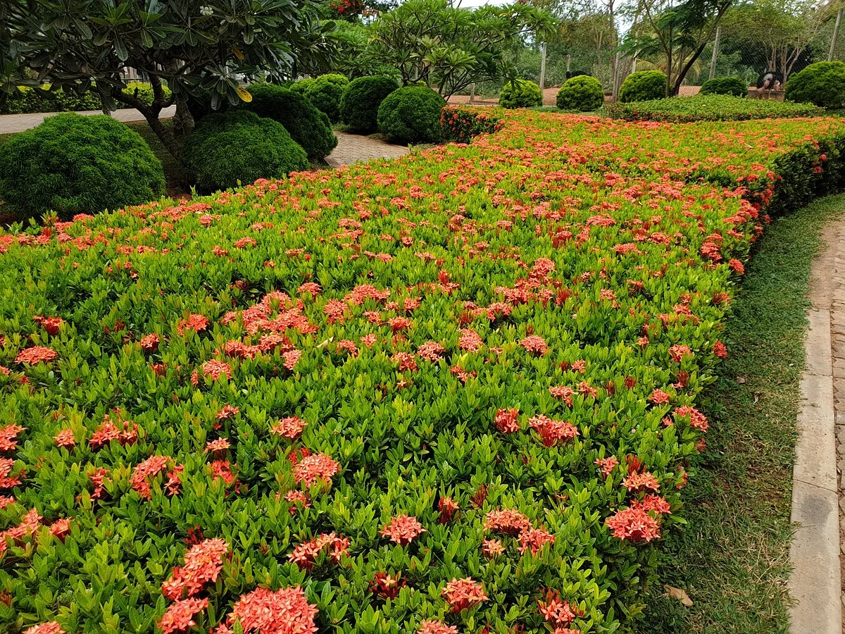 Birds Research Center & Resort