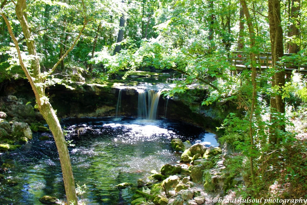 Falling Creek Falls