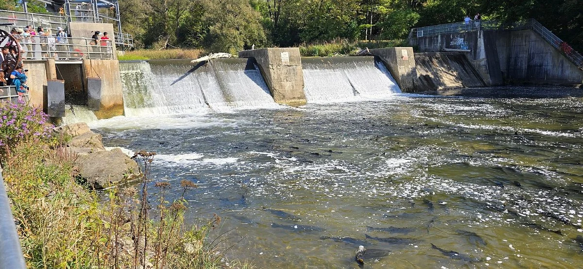 Port Hope Conservation Area