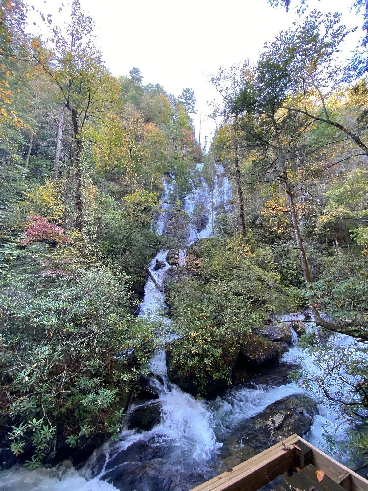 Dukes Creek Falls Trail