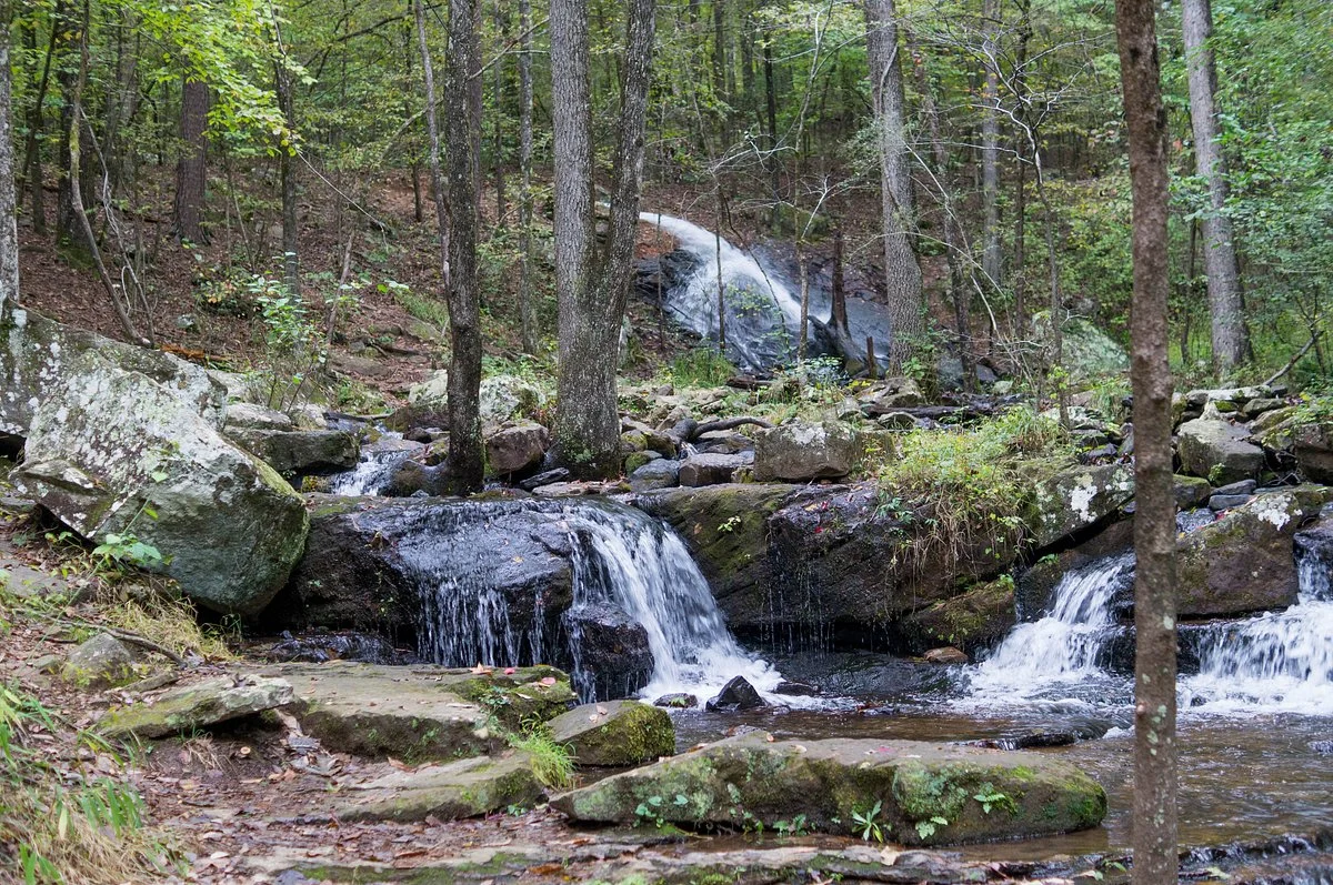 Collins Creek Cascade