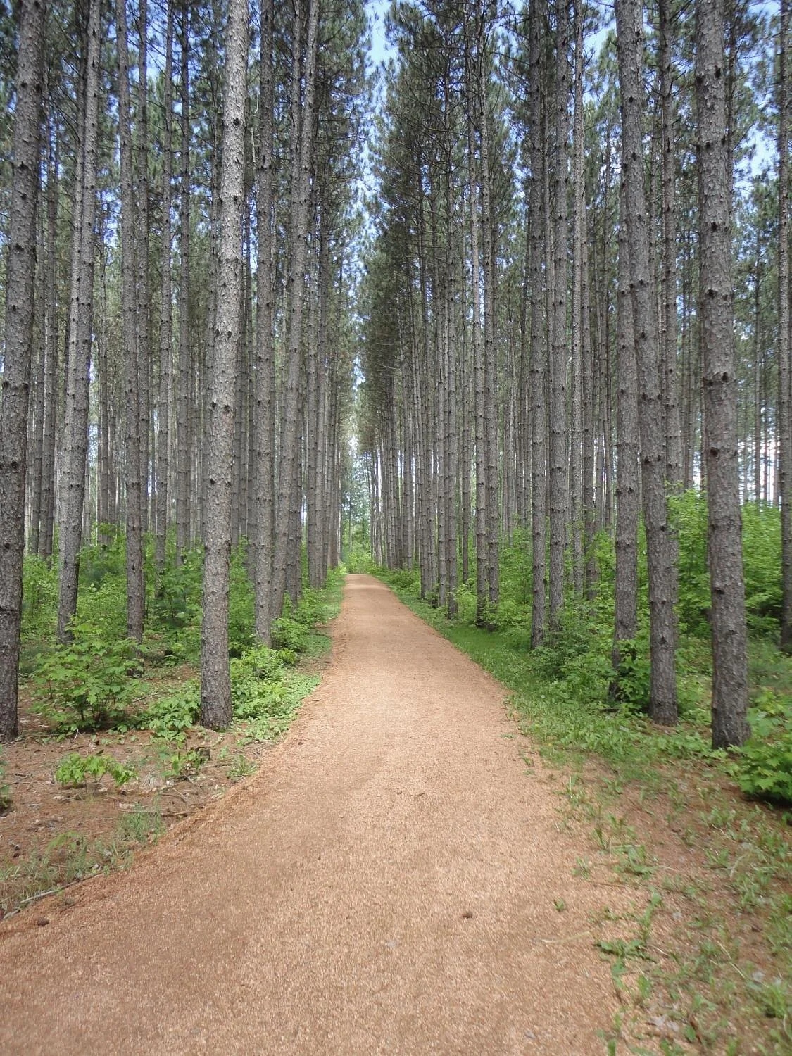 Green Circle Trail