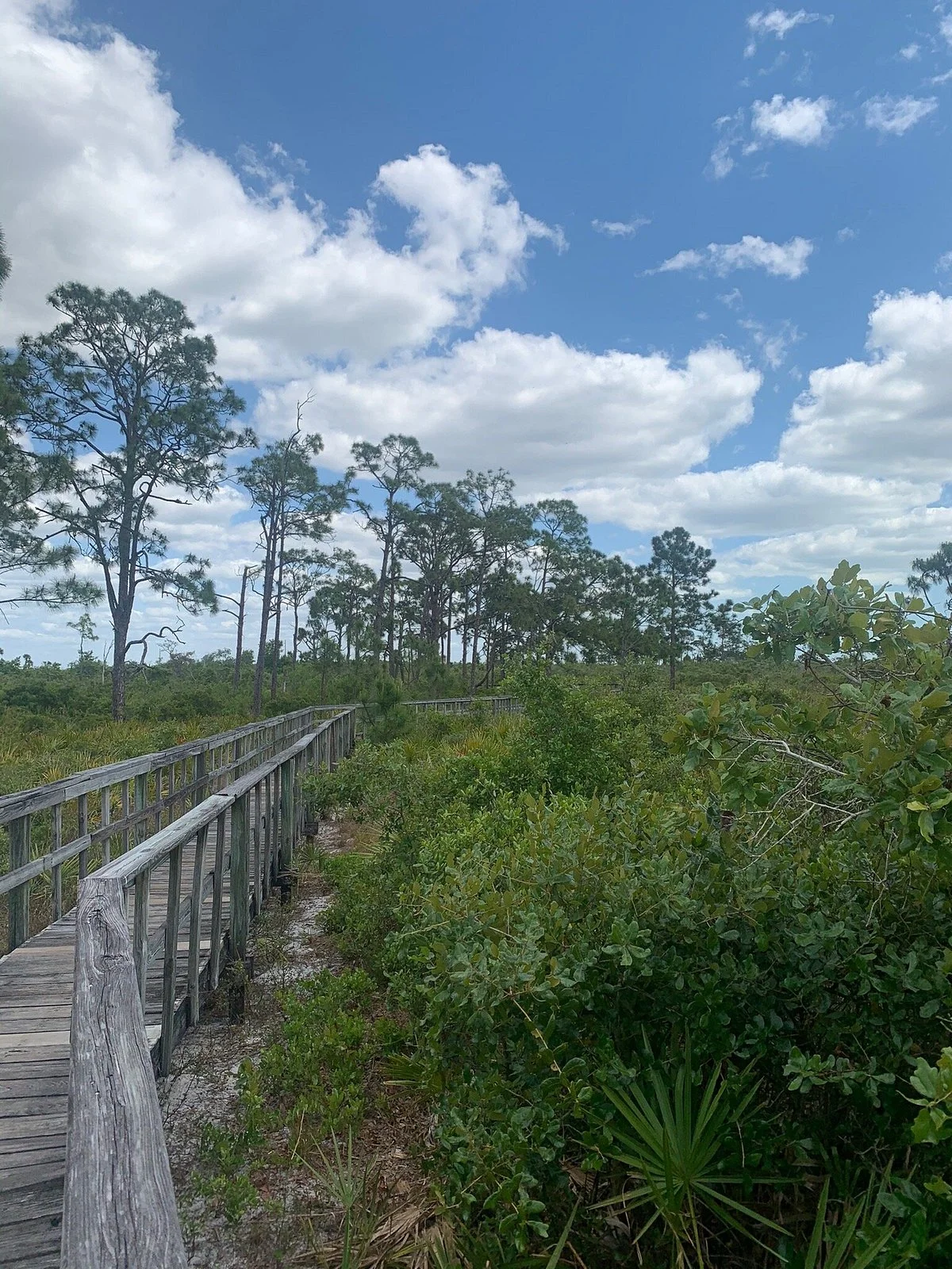 Briggs Nature Center