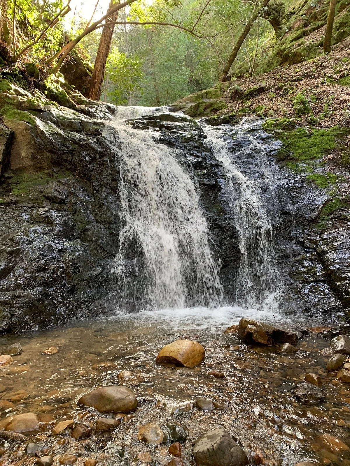 Uvas Canyon County Park