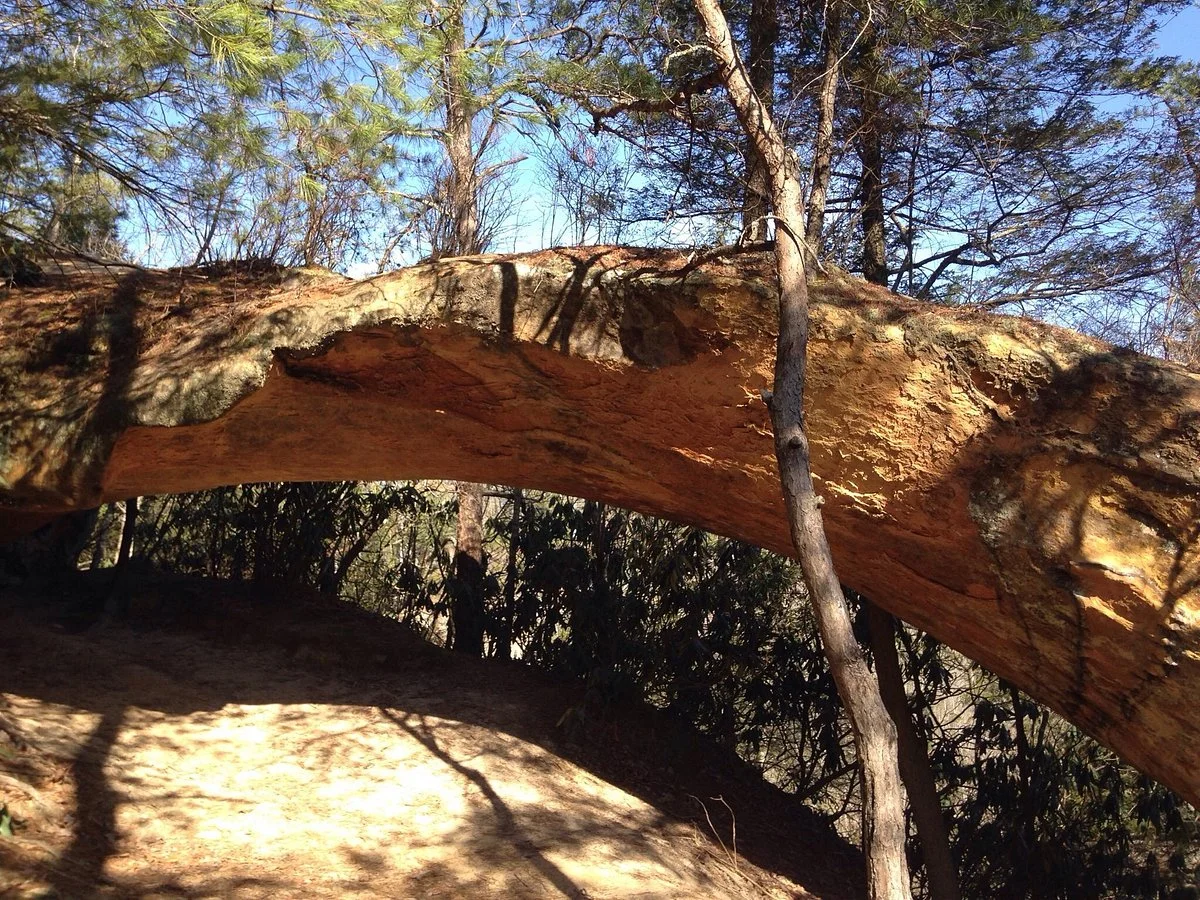 Sheltowee Trail